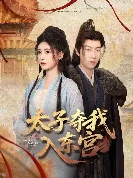 太子夺我入东宫：权谋与爱情交织的宫廷风云